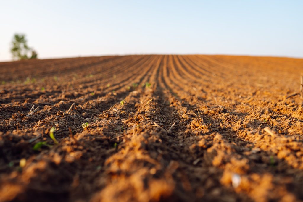 agro-alimentaire