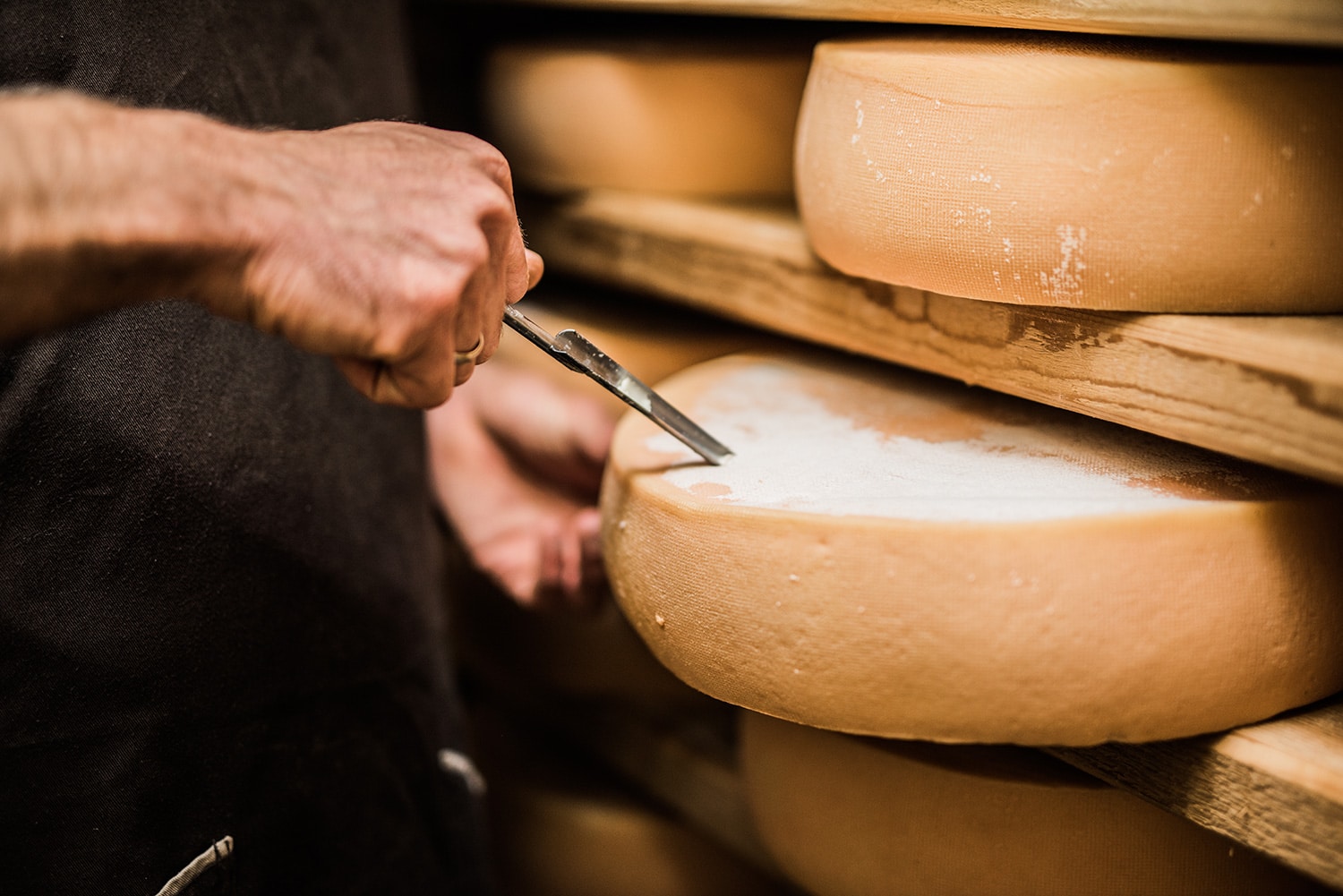 La machine à garnir et à couper les fromages